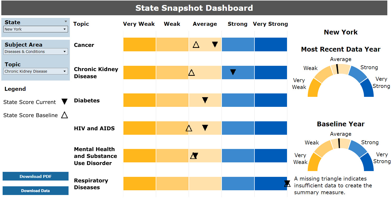 State Snapshot Dashboard for New York by Diseases &amp; Conditions with Chronic Kidney Disease selected depicted in a shaded bar graph